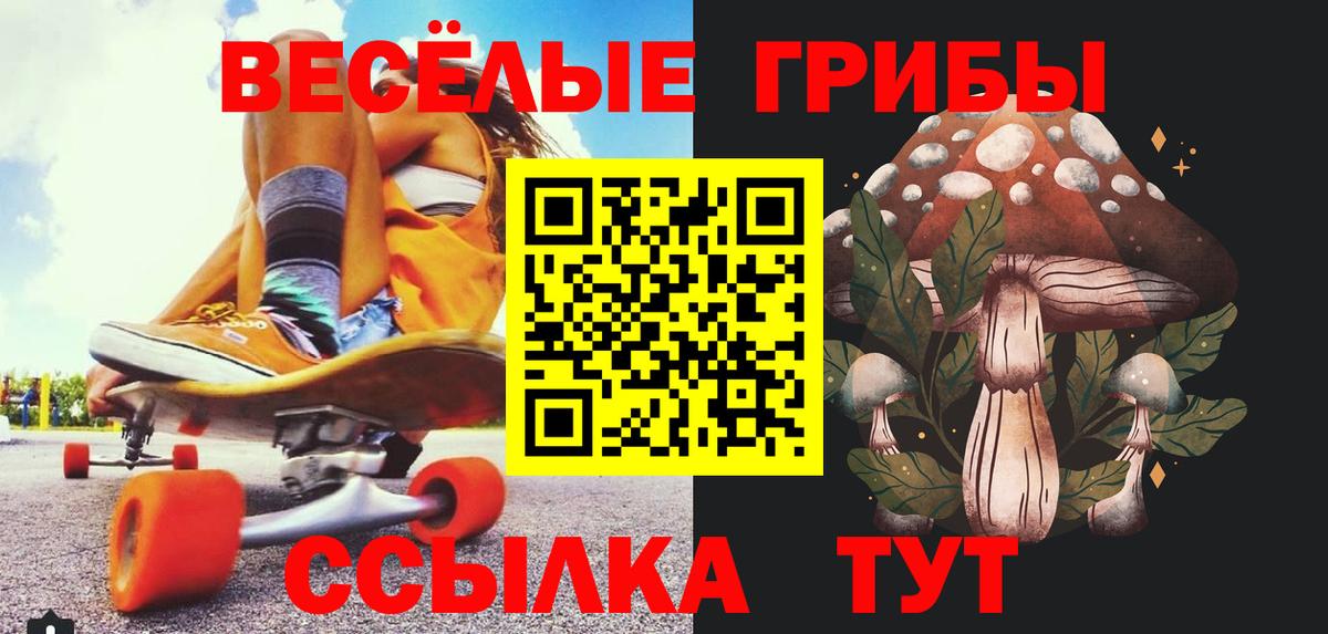 Псилоцибиновые грибы мухоморы  купить   Пугачёв  Вход с VPN 